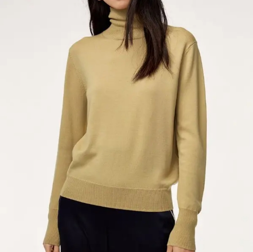 Aritzia Tan Turtleneck Sweater